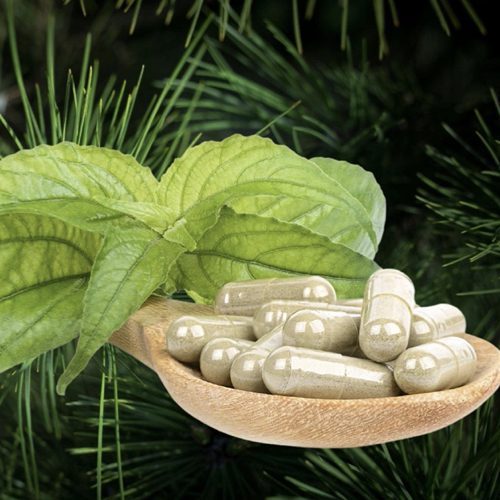 Immunos Protectus Capsules - Immune System Support