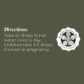 Pinus Protectus Ingredients - Pine Needle Tea
