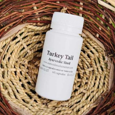 Turkey Tail 60 Capsules -