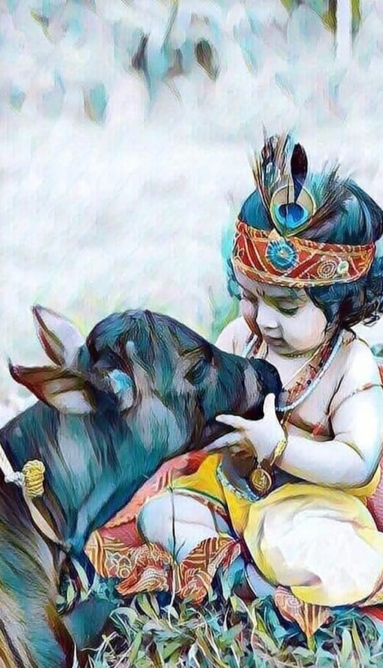 Dharma Ghee -