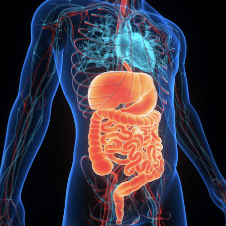Ayurvedic Digestive Tablets - Ayurvedic Herbs